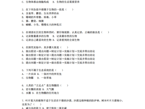 2025新澳全年正版资料大全请全面2释义、解释与落实