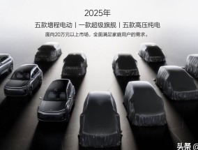 2025全年资料大全正版最快开仔细释义、解释与落实
