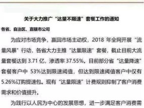 王中王493333中特一网.说请全面释义、解释与落实