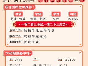 2025新澳正版今晚资料的全面释义、解释与落实