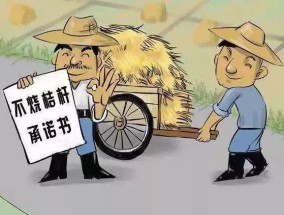 婆家一码一肖100警惕虚假宣传、全面解答与解释
