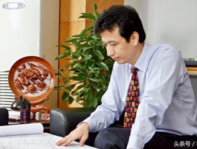 2025新澳门2025免费原料详细解答、解释与落实