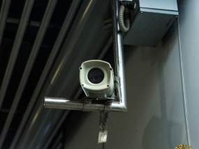 新澳全年资料免费公开精选解析、解释与落实