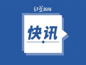 2025新澳精准正版免费大全的全面释义、解释与落实
