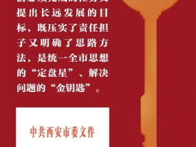 新澳2025正版资料大全金钥匙精选解析、解释与落实