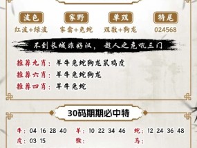 澳门管家婆100正确精选解析、解释与落实