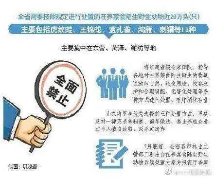 2025年新澳最精准警惕虚假宣传、全面解答与解释