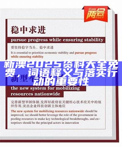 2025年新澳正版资料查询仔细释义、解释与落实