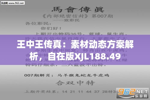 王中王493333中特马的全面释义、解释与落实