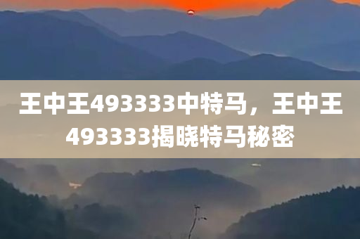 王中王493333中特马的全面释义、解释与落实