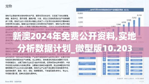 新澳2025精准免费大全详细解答、解释与落实